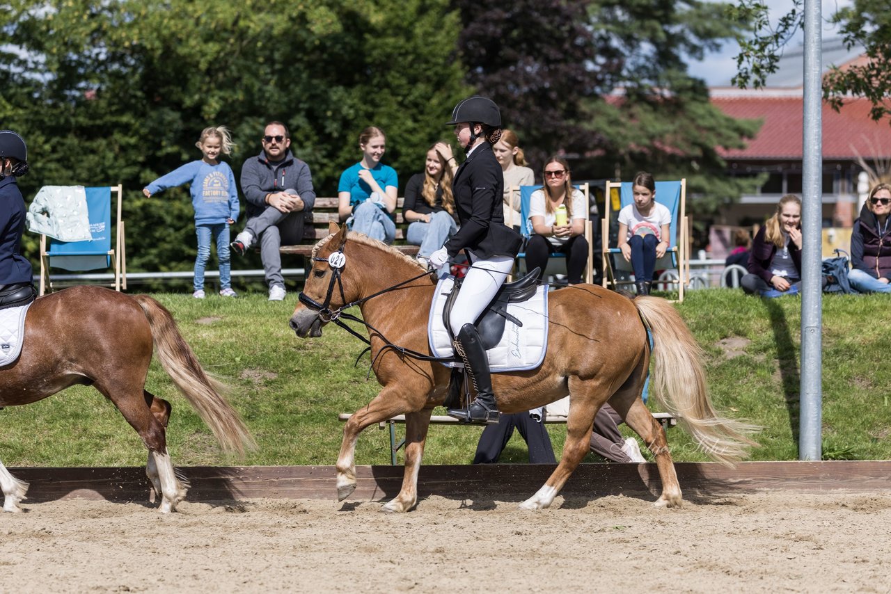 Bild 616 - Pony Akademie Turnier